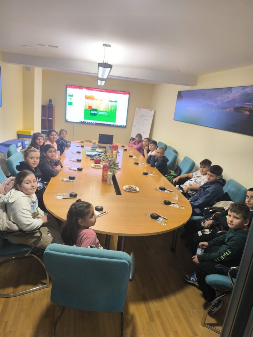 IMG-bfff660a7753be9eb210bdf6ffdb3b1e-V