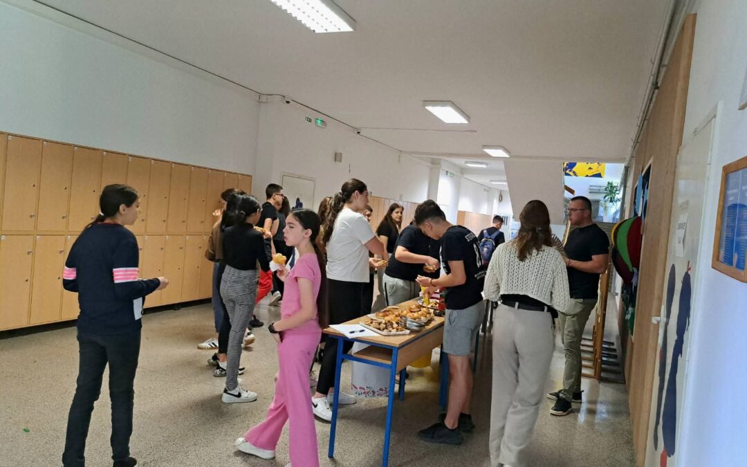 SAJAM NACIONALNIH MANJINA / САЈАМ НАЦИОНАЛНИХ МАЊИНА