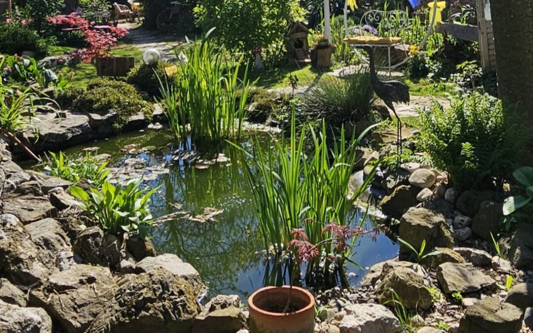 POSJET VRTNOJ BAJCI / ПОСЕТА ВРТНОЈ БАЈЦИ