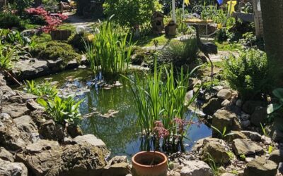 POSJET VRTNOJ BAJCI / ПОСЕТА ВРТНОЈ БАЈЦИ